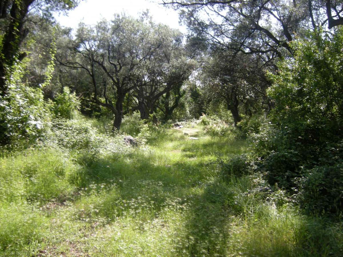 Urbanized land for sale, 560 m2, Budva 3