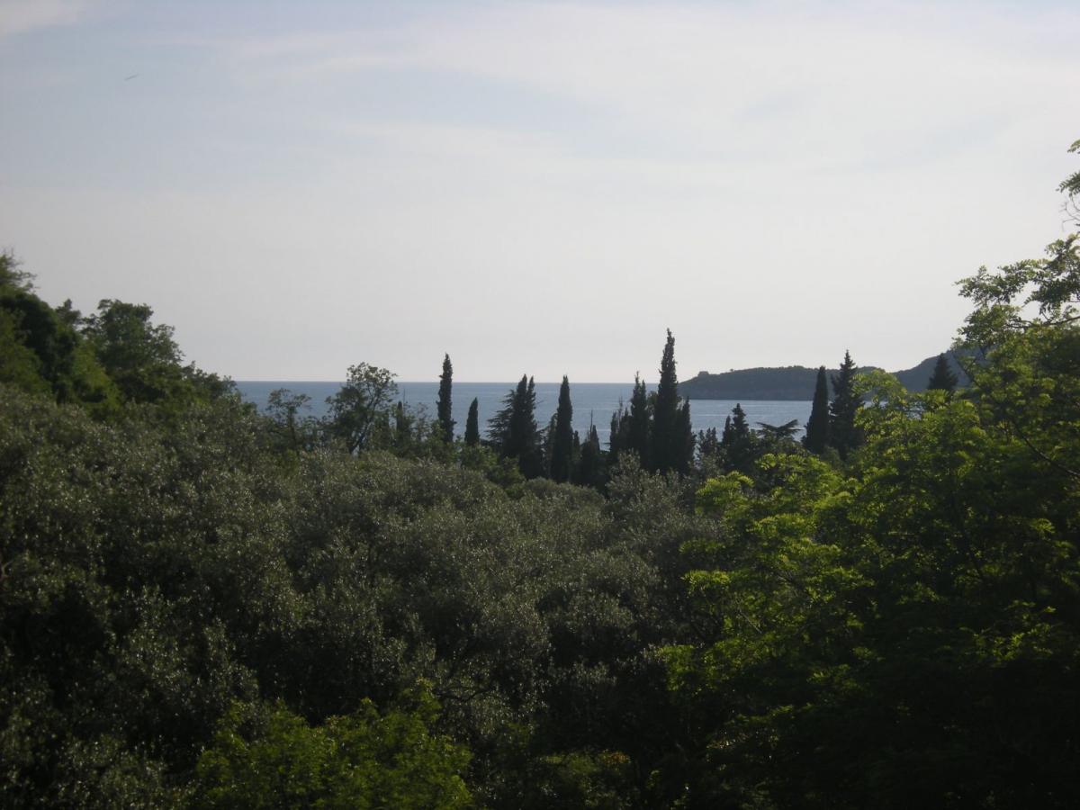 Urbanized land for sale, 560 m2, Budva 4