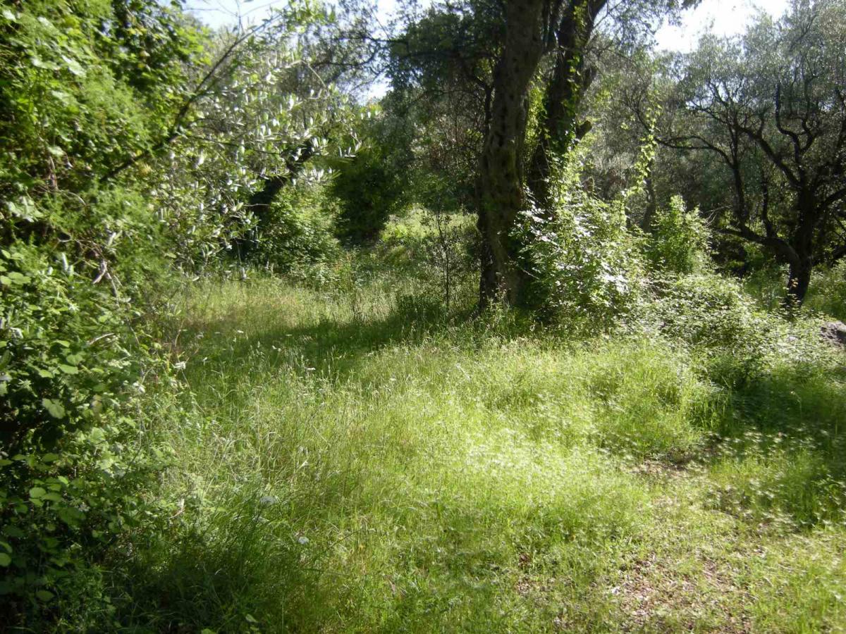 Urbanized land for sale, 560 m2, Budva 5