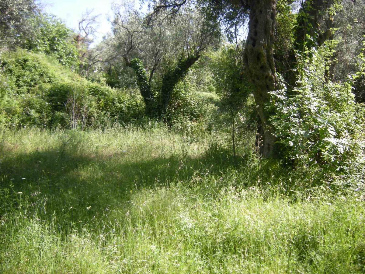 Urbanized land for sale, 560 m2, Budva 6