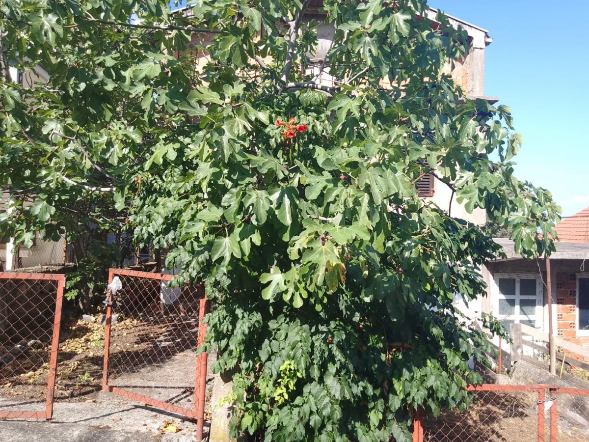 Kuća u Baru, 140m² 3