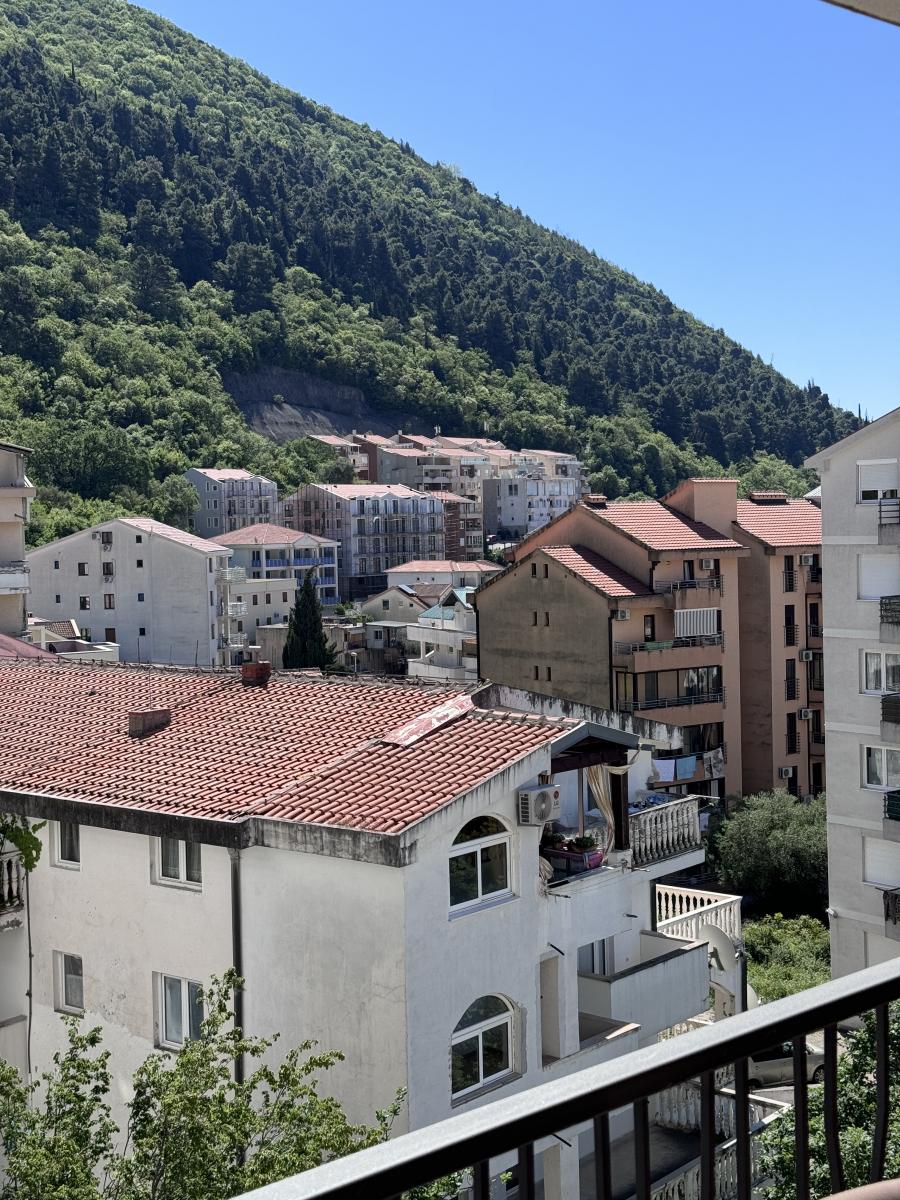 Apartment with 2 bedrooms with mountain views 8