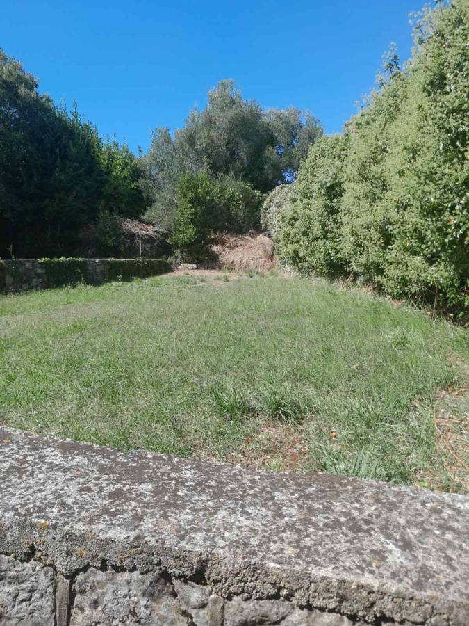 Big land with two stone houses