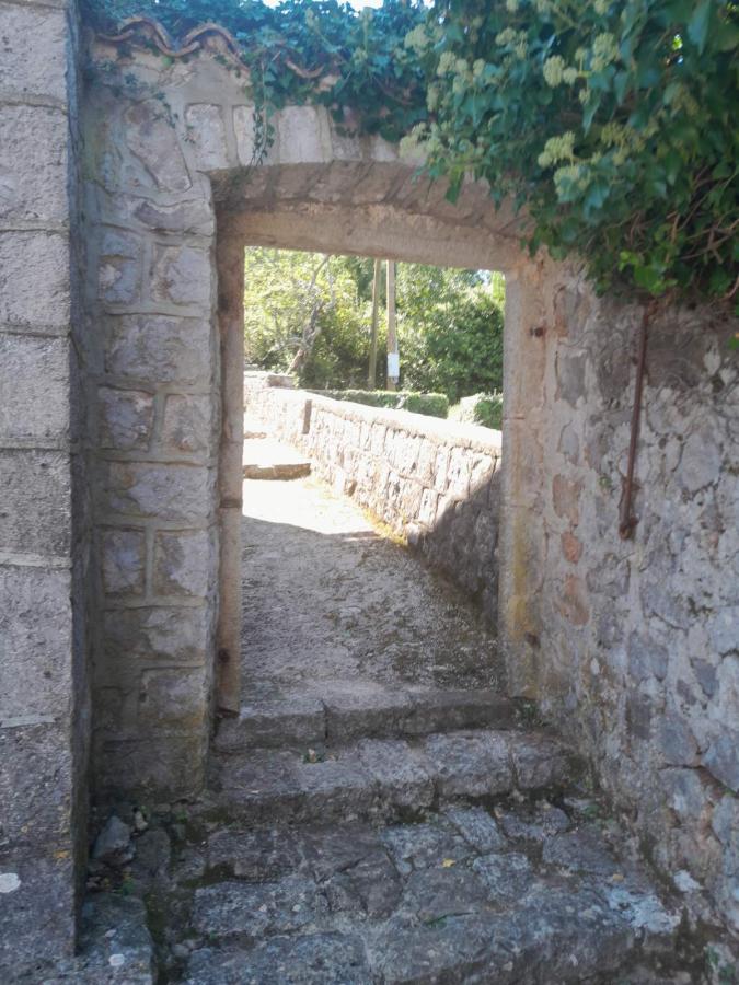 Big land with two stone houses 2