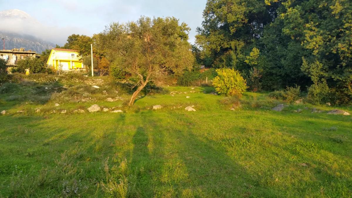 Nekretnina u Herceg Novom, 500m²