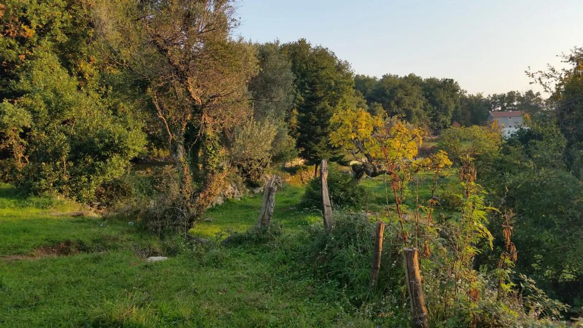 Nekretnina u Herceg Novom, 500m² 2
