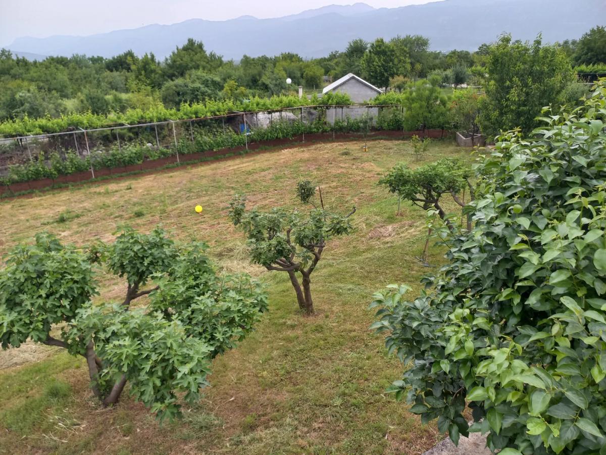For sale house with big plot of 2587m2, Danilovgrad 2