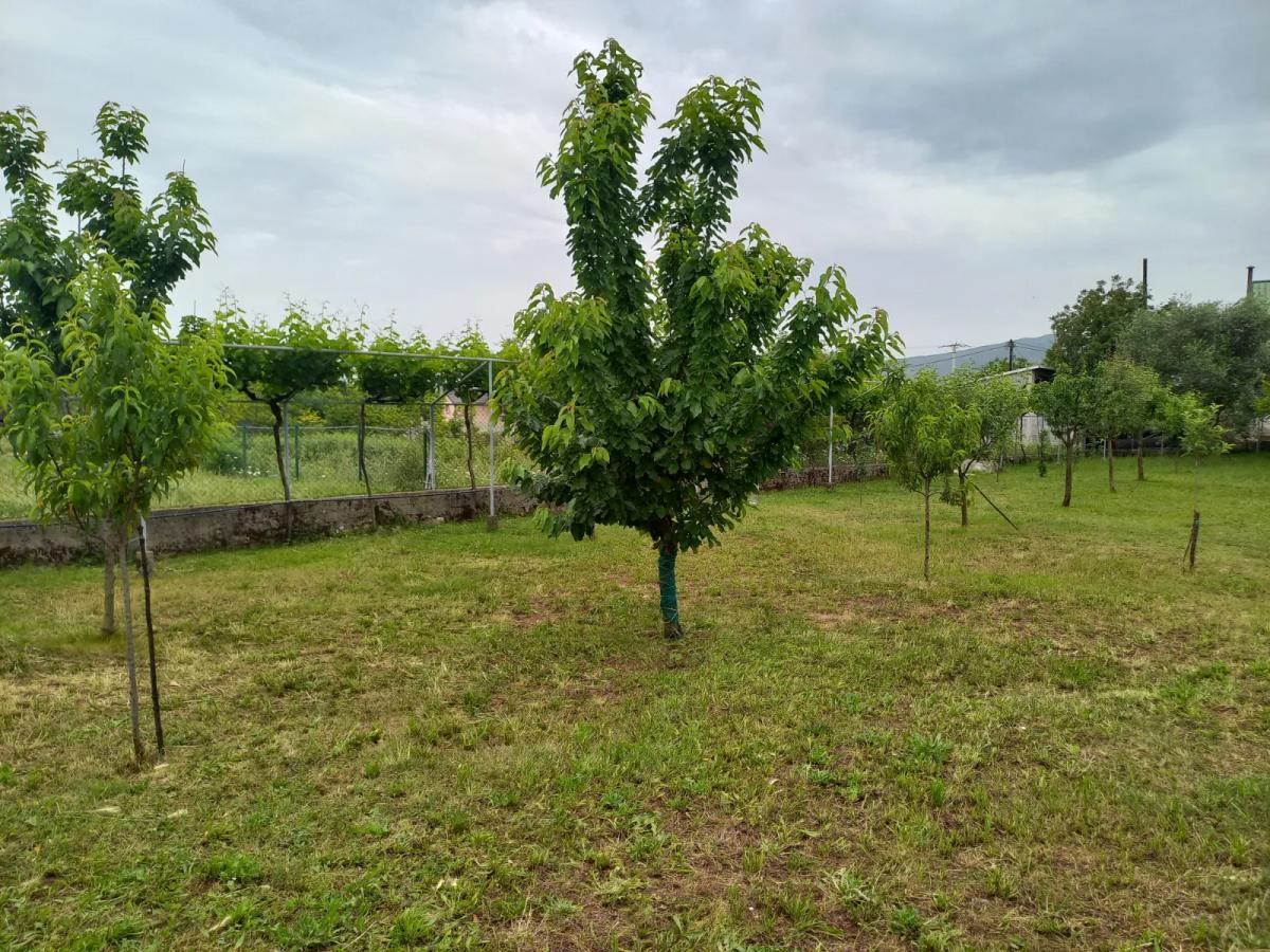 For sale house with big plot of 2587m2, Danilovgrad 4