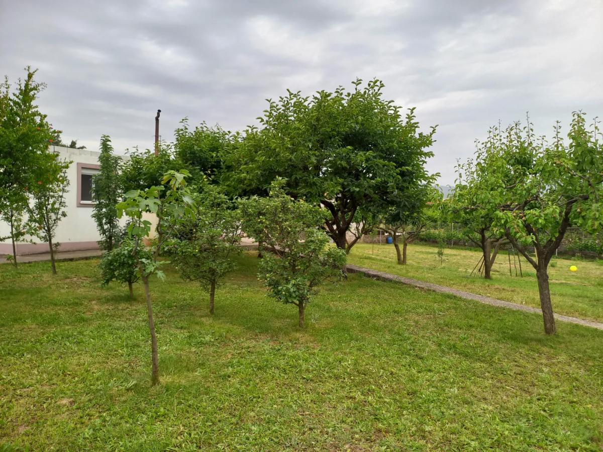 For sale house with big plot of 2587m2, Danilovgrad 5