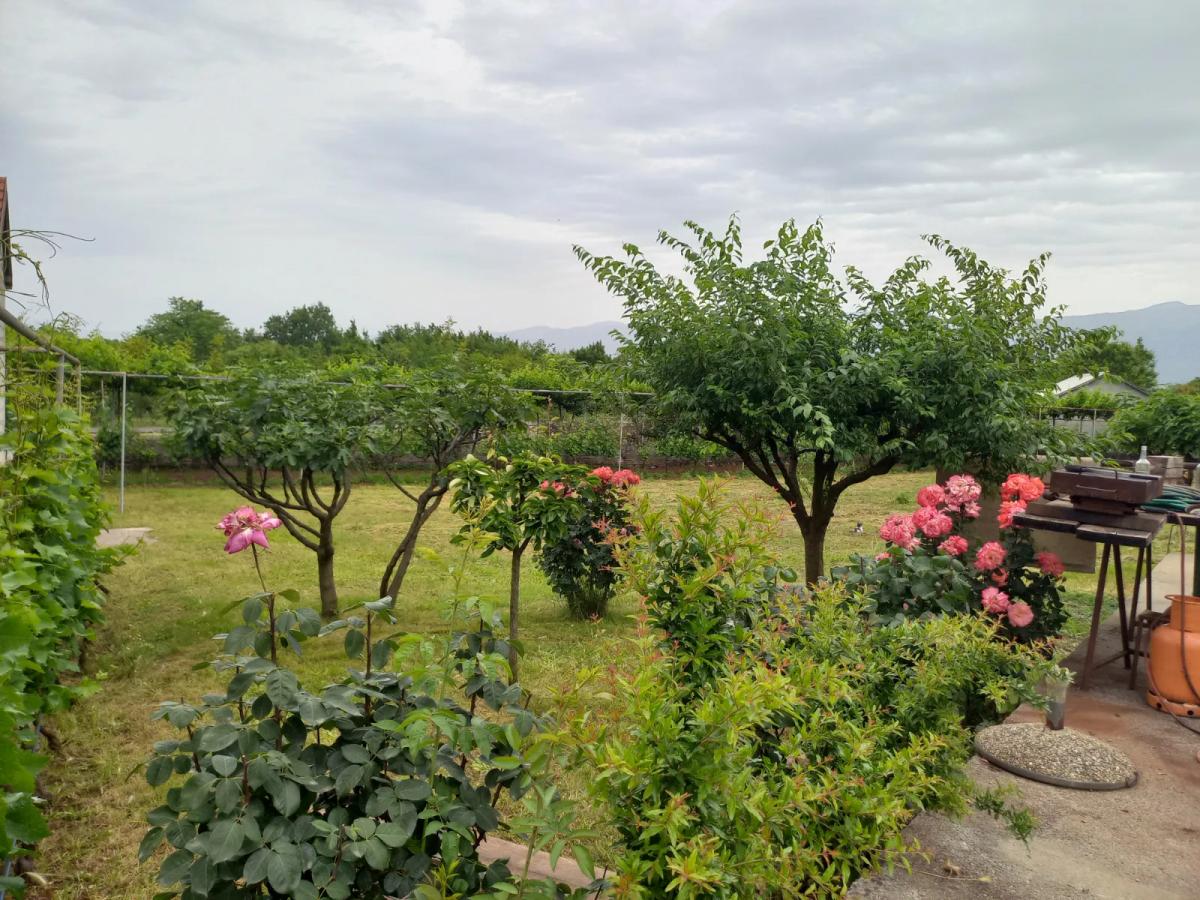 For sale house with big plot of 2587m2, Danilovgrad 7