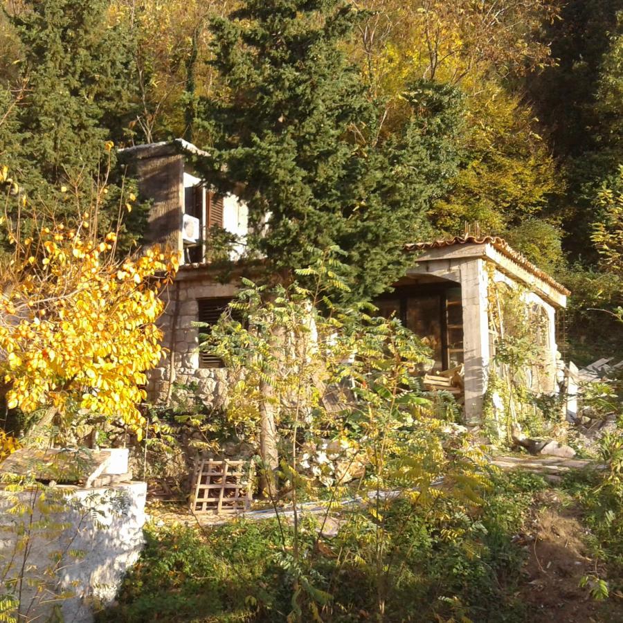 House with spring water and land in Buljarica 2