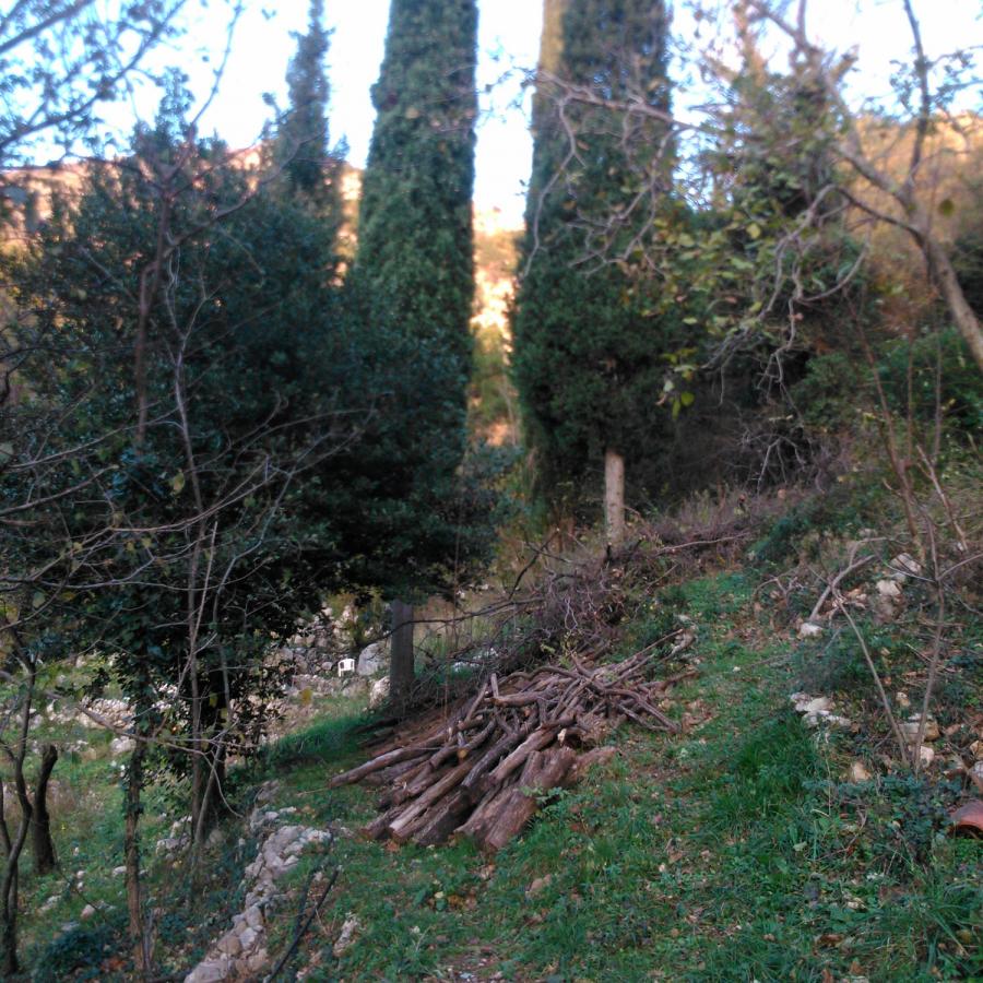 House with spring water and land in Buljarica 4