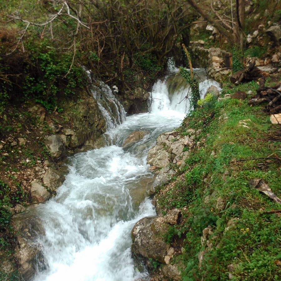 House with spring water and land in Buljarica 5