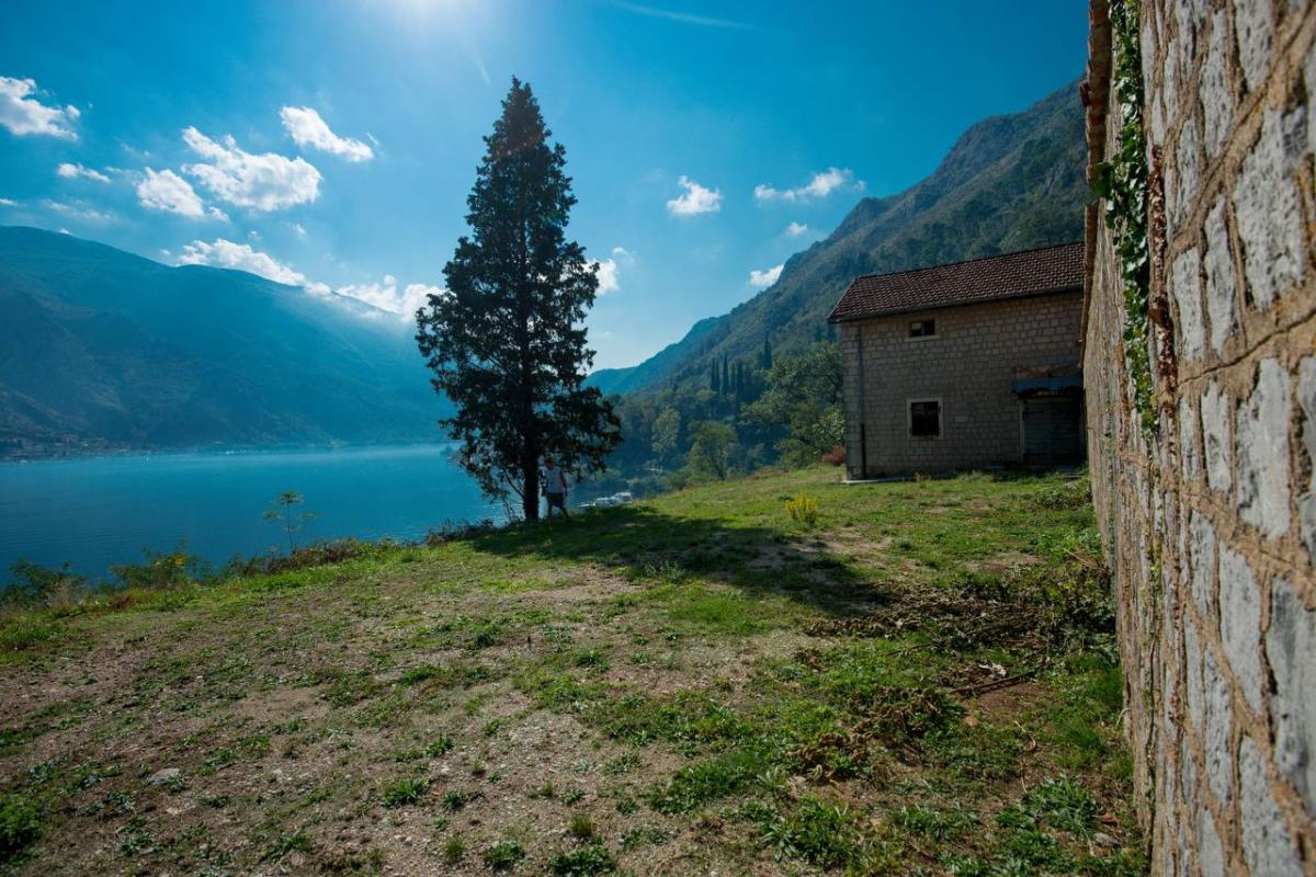 Nekretnina u Kotoru, 30000m² 3