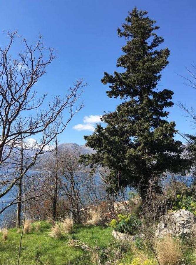 Nekretnina u Kotoru, 5460m² 2