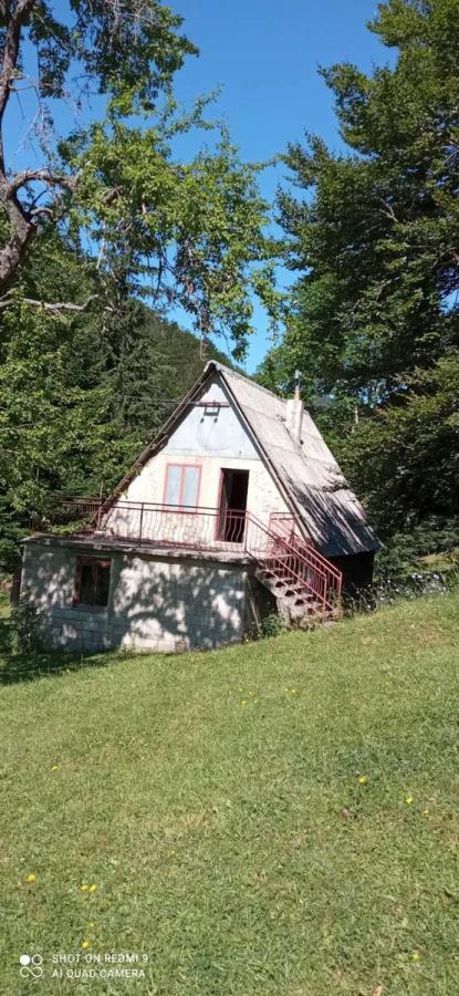 Na prodaju imanje u selu Donja Bukovica, Savnik, 99130m2 12