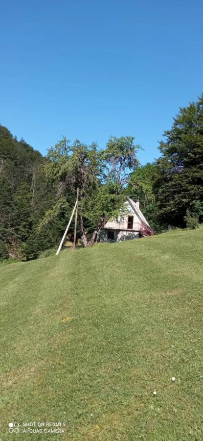 Na prodaju imanje u selu Donja Bukovica, Savnik, 99130m2 13