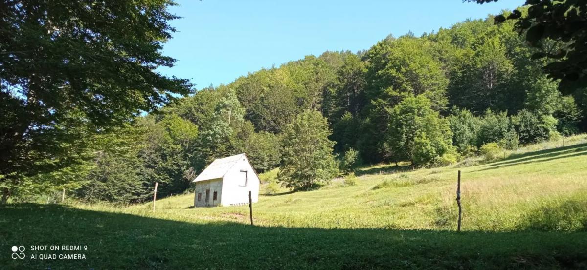 Na prodaju imanje u selu Donja Bukovica, Savnik, 99130m2 14