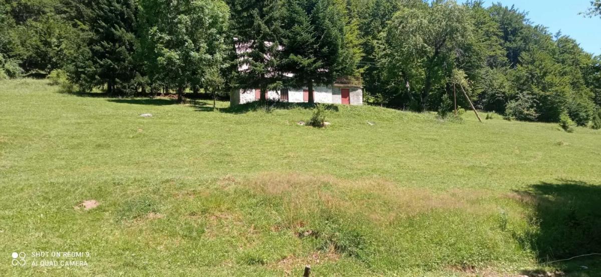 Na prodaju imanje u selu Donja Bukovica, Savnik, 99130m2 15