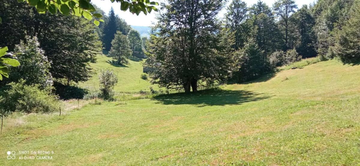 Na prodaju imanje u selu Donja Bukovica, Savnik, 99130m2 17
