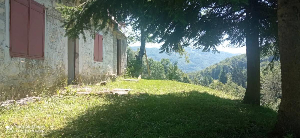 Na prodaju imanje u selu Donja Bukovica, Savnik, 99130m2 18
