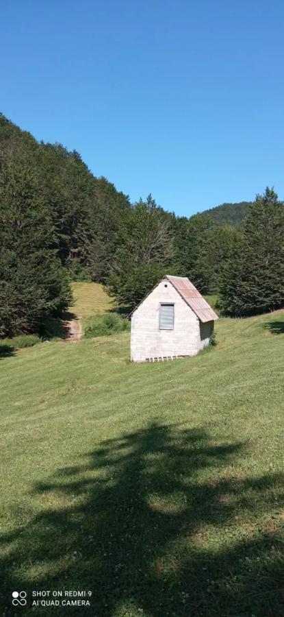Na prodaju imanje u selu Donja Bukovica, Savnik, 99130m2 19