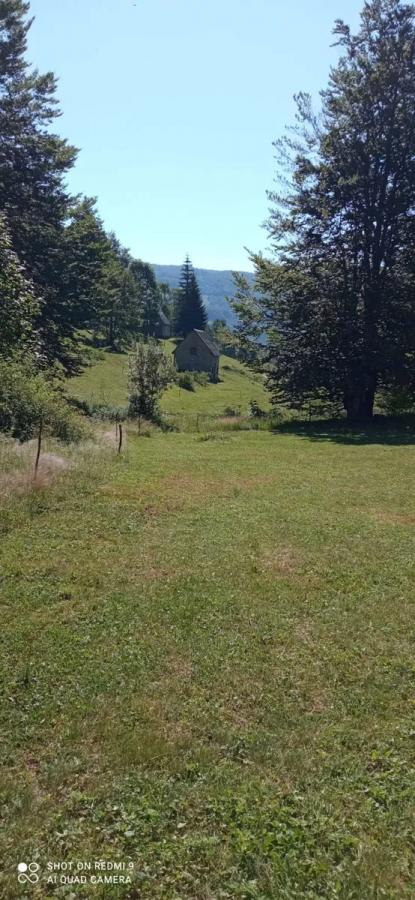 Na prodaju imanje u selu Donja Bukovica, Savnik, 99130m2 20