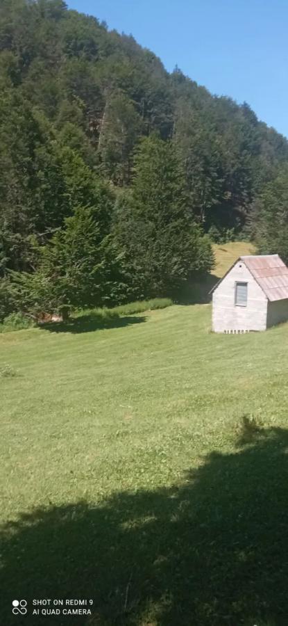 Na prodaju imanje u selu Donja Bukovica, Savnik, 99130m2 21