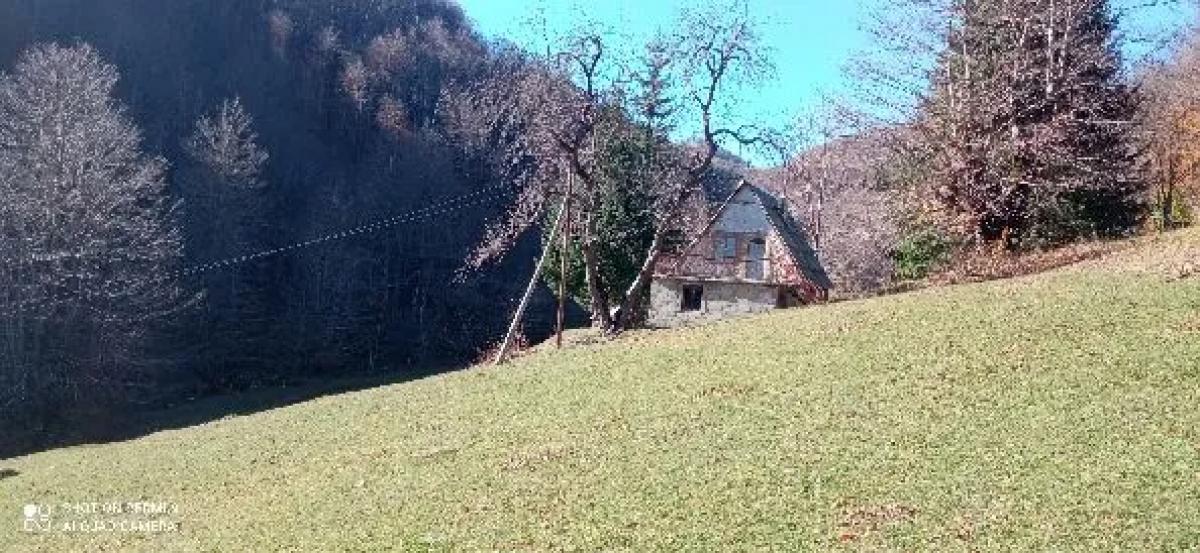 Na prodaju imanje u selu Donja Bukovica, Savnik, 99130m2 9
