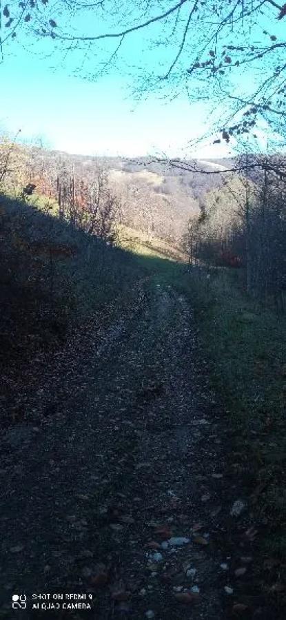 Na prodaju imanje u selu Donja Bukovica, Savnik, 99130m2 10