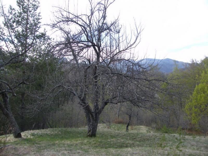 Urbanized plot for sale in Crkvine, Kolasin 4