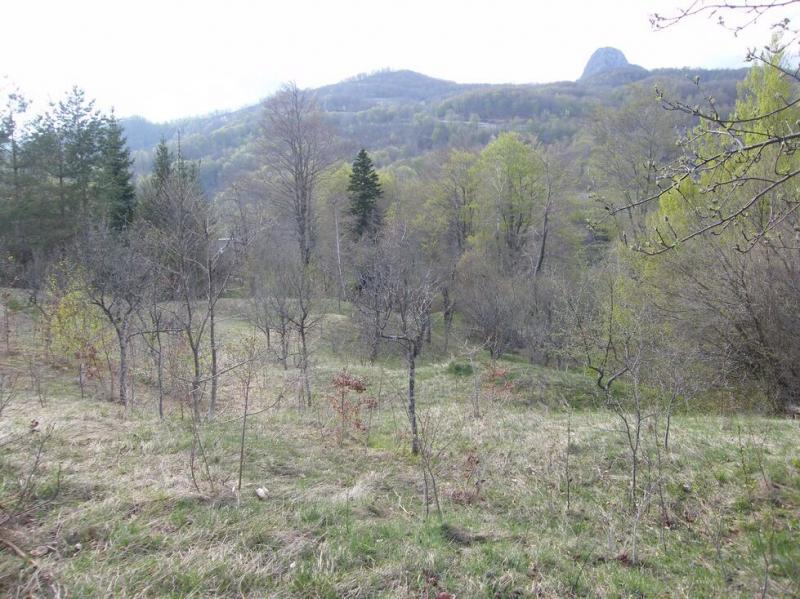 Urbanized plot for sale in Crkvine, Kolasin 6
