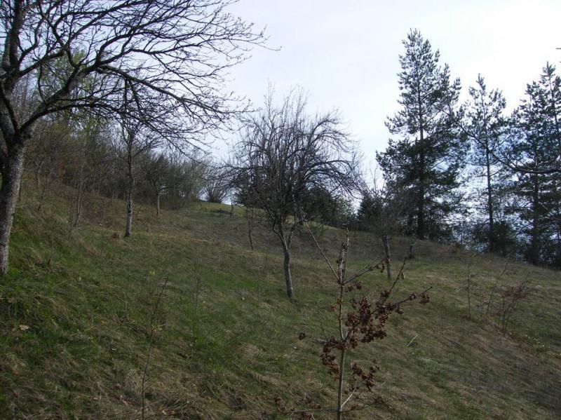 Urbanized plot for sale in Crkvine, Kolasin 7