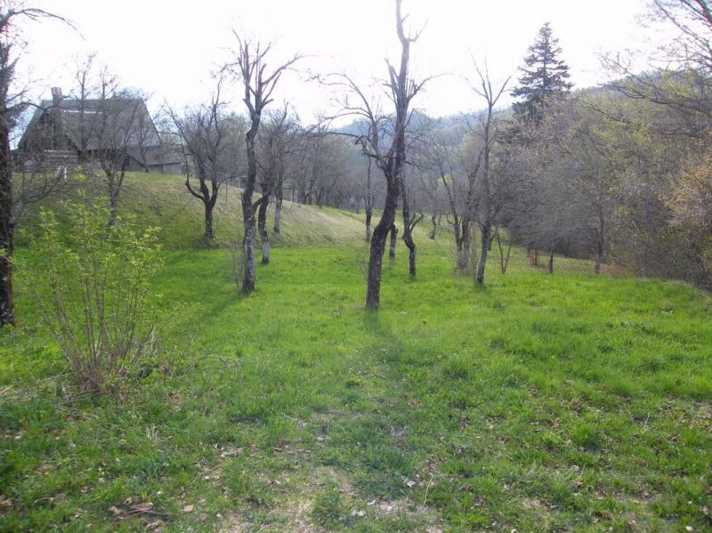 Urbanized plot for sale in Crkvine, Kolasin 8