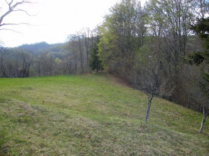 Urbanized plot for sale in Crkvine, Kolasin 9