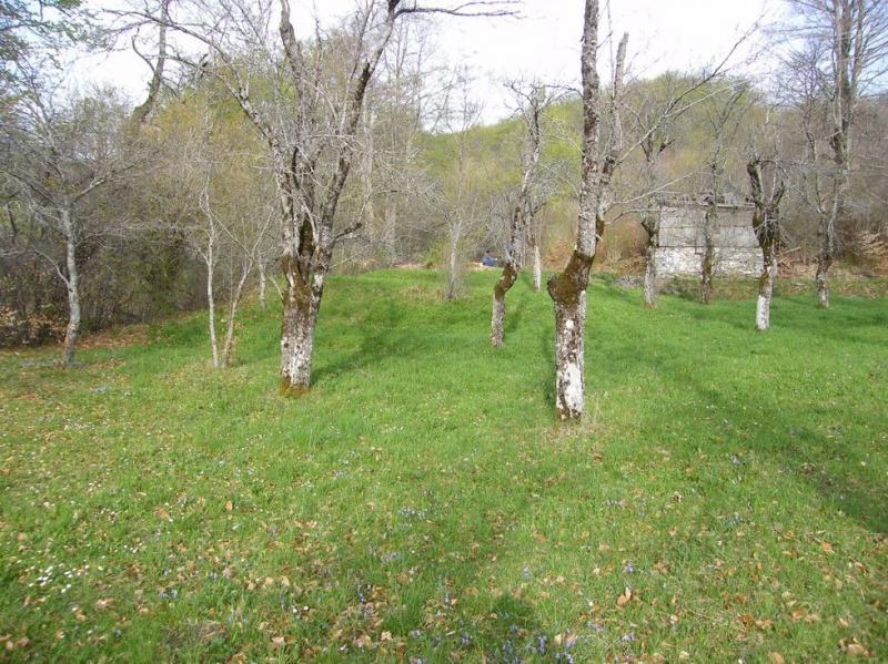 Urbanized plot for sale in Crkvine, Kolasin 10