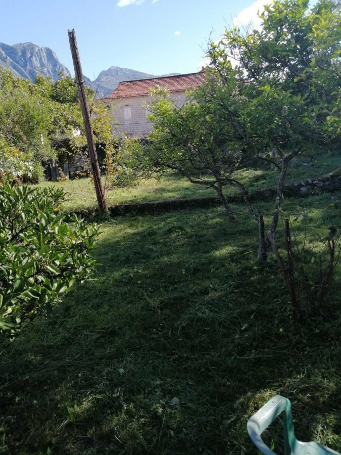 Nekretnina u Kotoru, 550m²