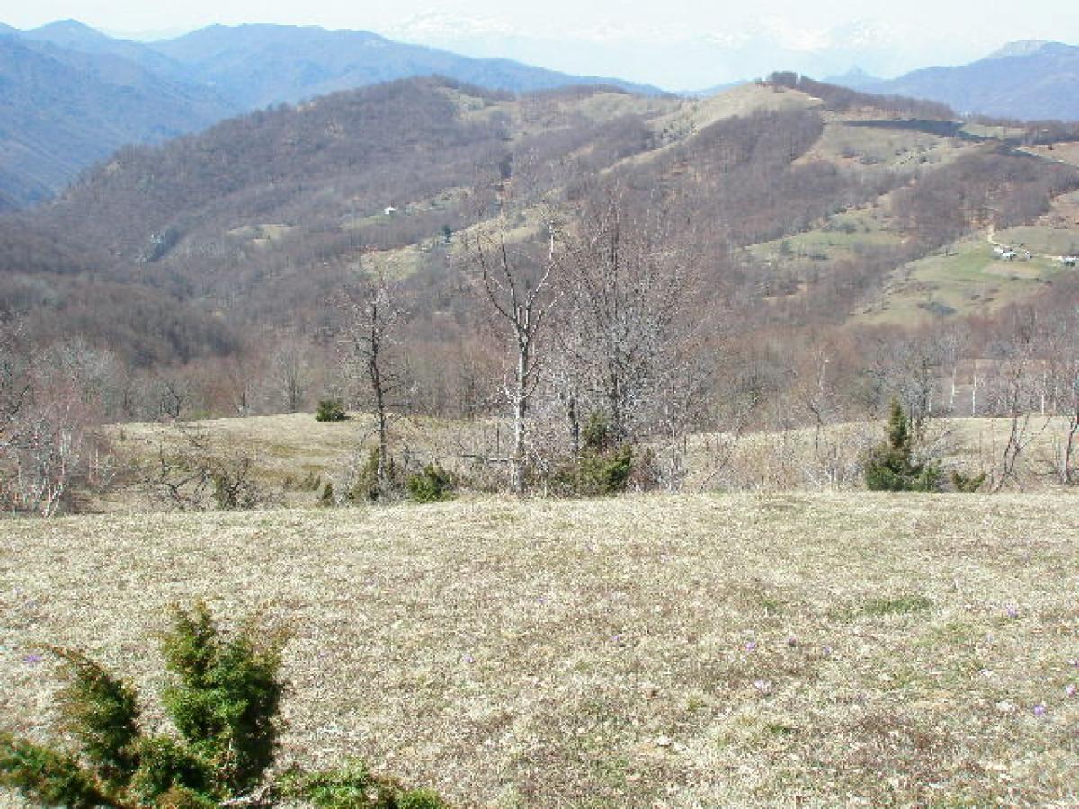 Nekretnina u Kolašin, 0m²