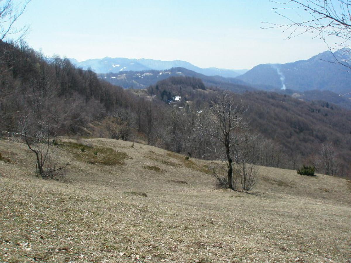 Nekretnina u Kolašin, 0m² 2