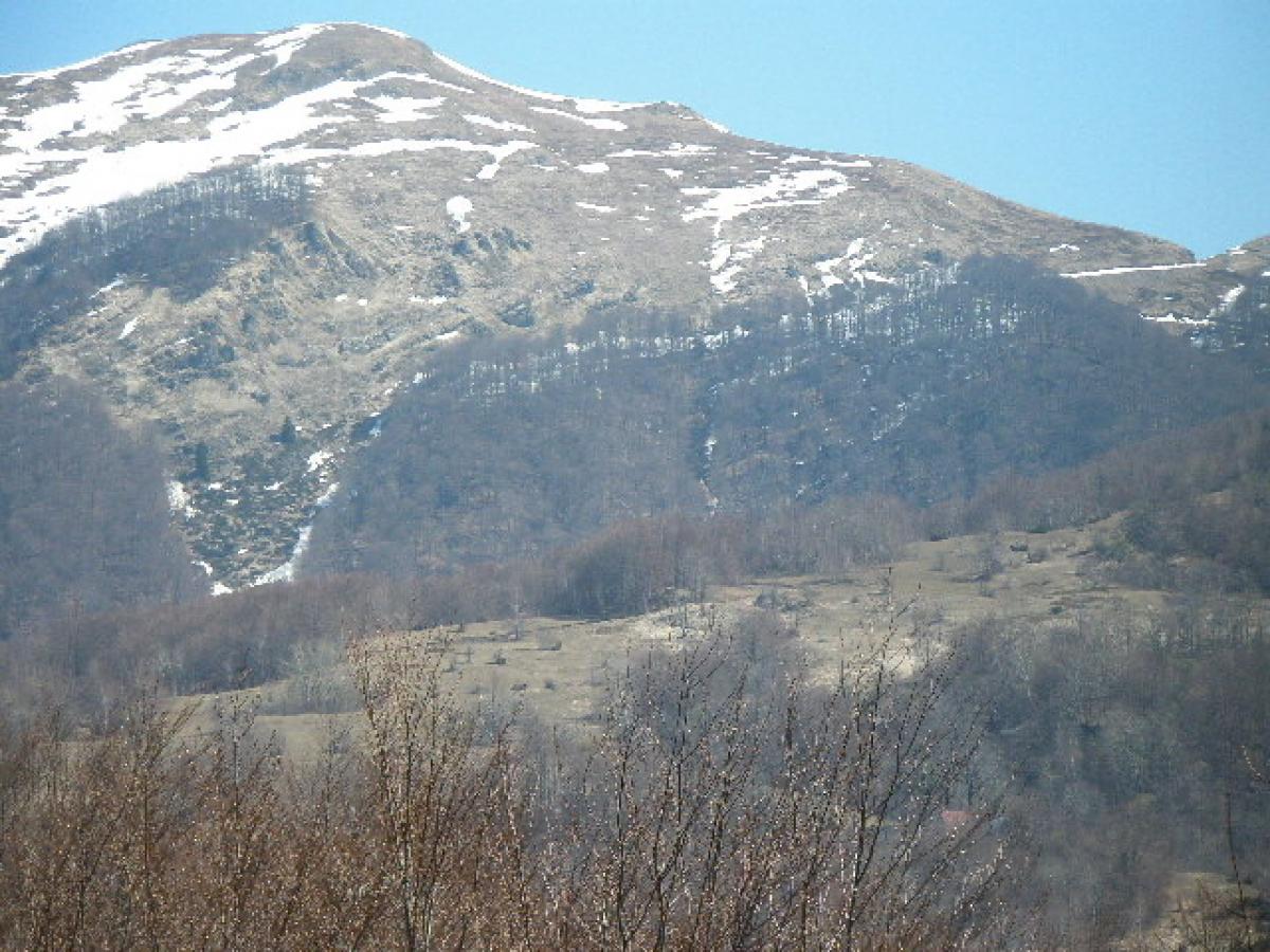 Nekretnina u Kolašin, 0m² 3