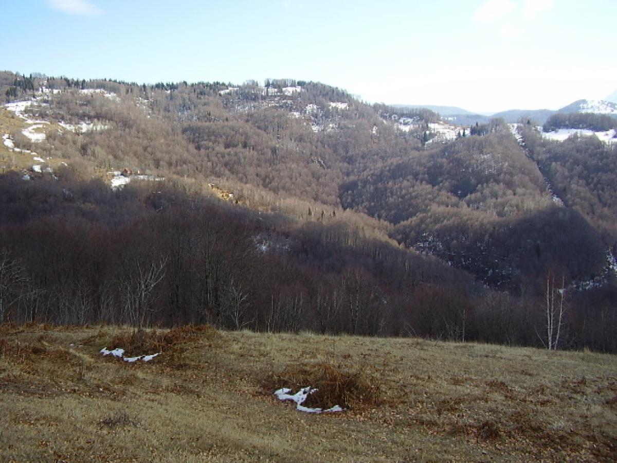 Nekretnina u Kolašin, 0m² 4