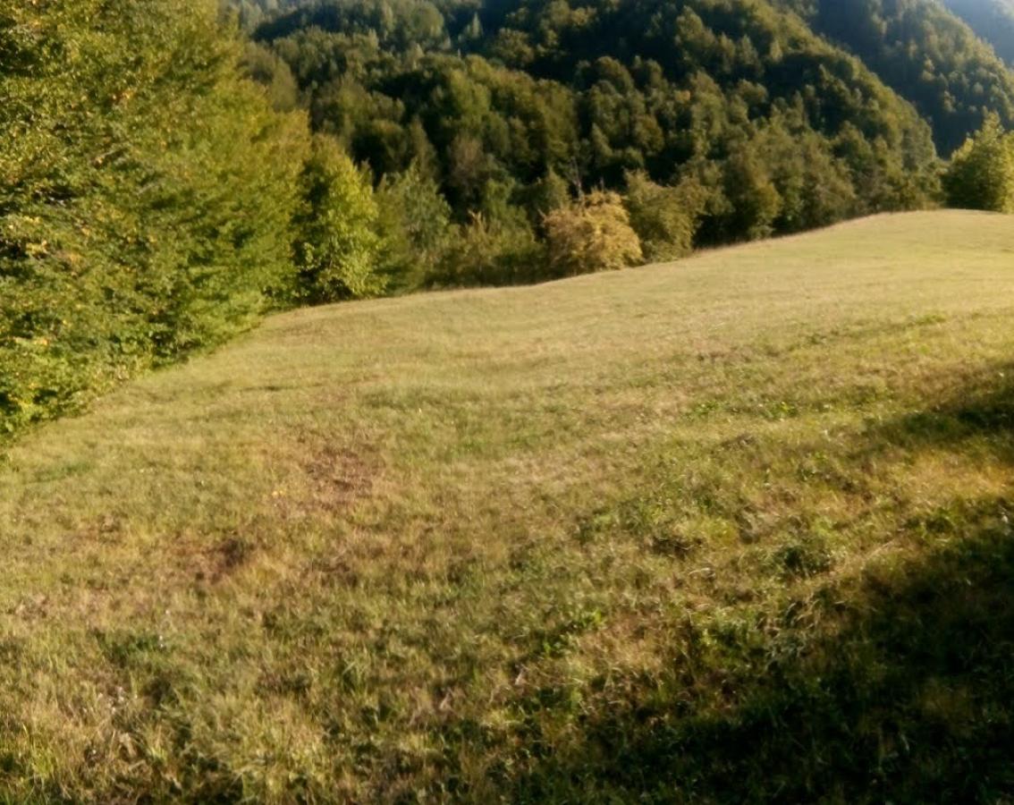 Nekretnina u Kolašin, 0m² 2