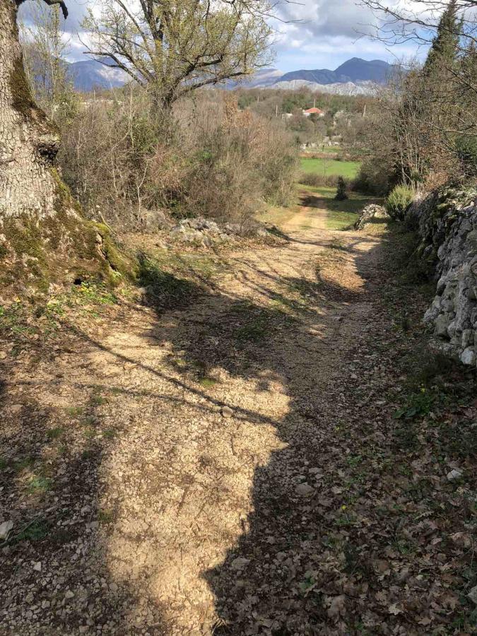 Plac u Baru, 0m² 4