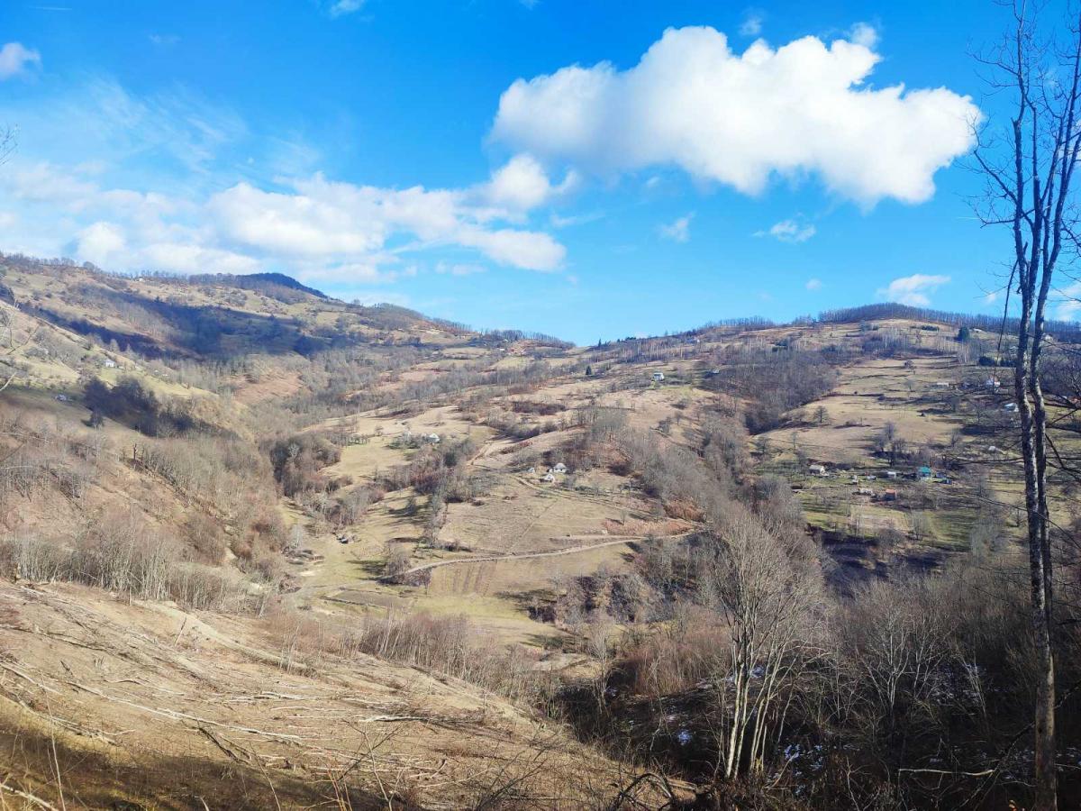 Nekretnina u Mojkovac, 0m² 3