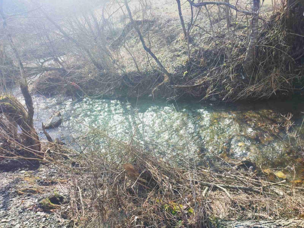 Nekretnina u Mojkovac, 0m² 6