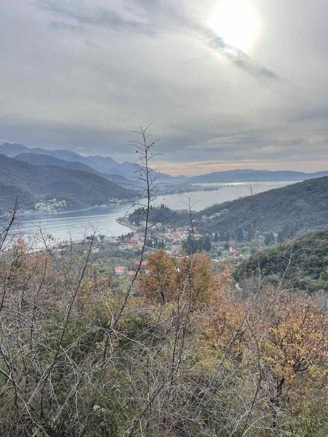 Nekretnina u Herceg Novom, 250m² 2