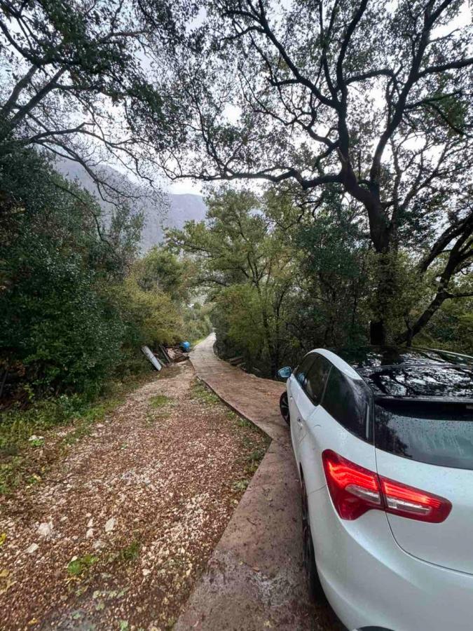 Plot with sea view in Orahovac, Kotor – 2800 m2 2