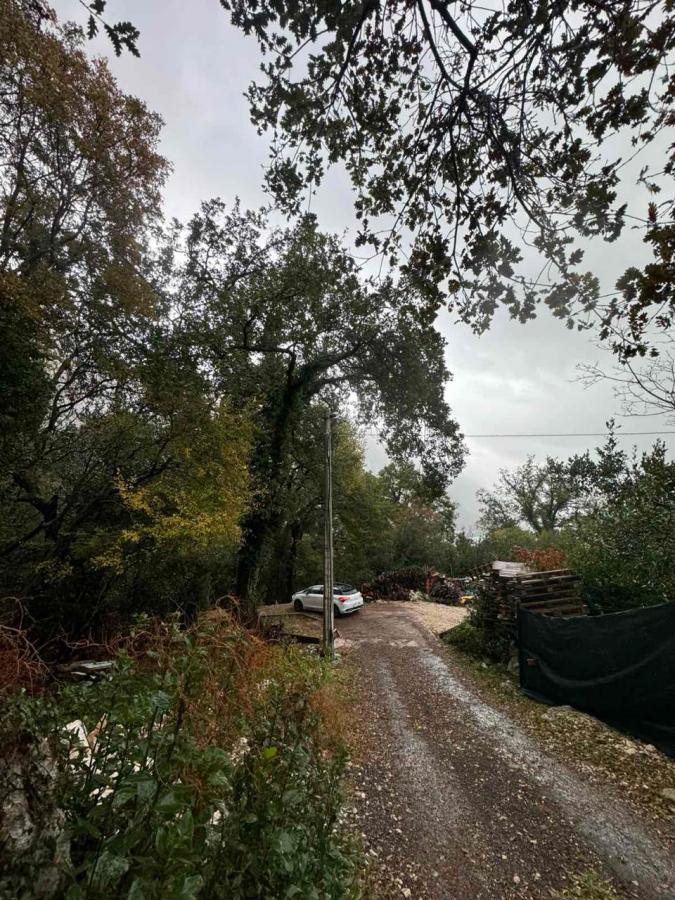 Plot with sea view in Orahovac, Kotor – 2800 m2 3