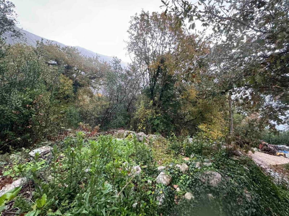 Plot with sea view in Orahovac, Kotor – 2800 m2 4