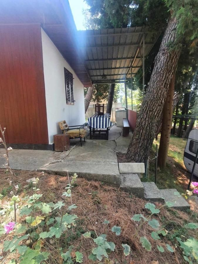 Plac u Baru, 0m² 3